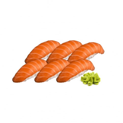 Sushi nigiri zalm set