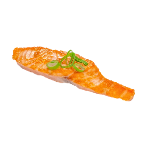Salmon tokyo