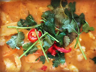 79. Kipfilet met Thaise curry