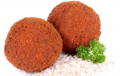 Nasischijf