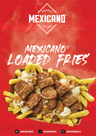 Mexicano loaded fries