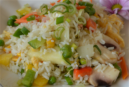 Nasi met kipfilet en groenten 鸡饭