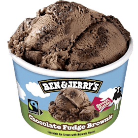 Ben & jerry 100ml chocolade fudge