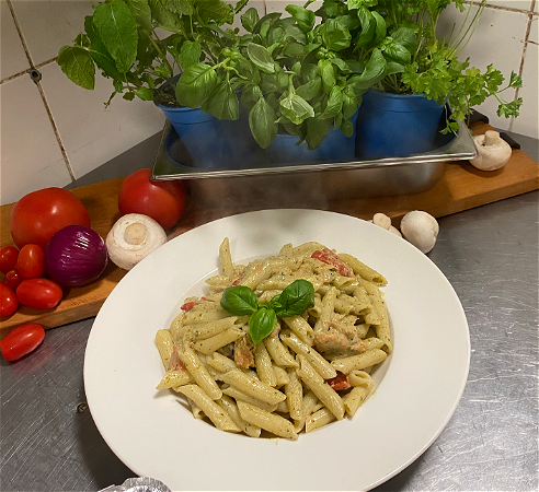 Penne Pollo
