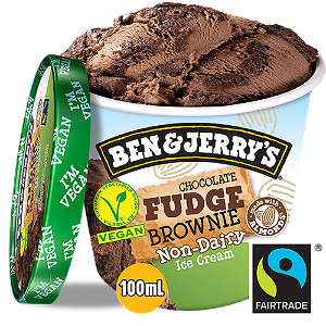 Ben & Jerry's Chocolate Fudge Brownie 100ml