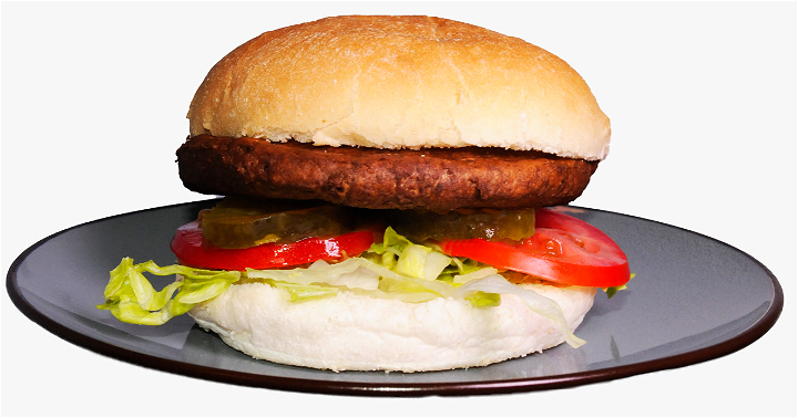 Br. hamburger speciaal