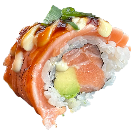 Double salmon Roll