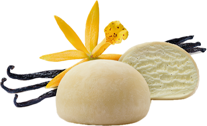 Vanille caramel Mochi ice cream