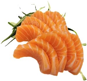 Zalm sashimi XL