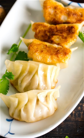 Japanse vegetarisch gyoza