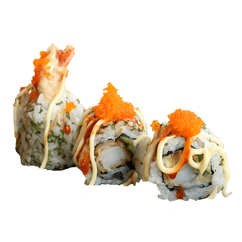 Dragon roll maki