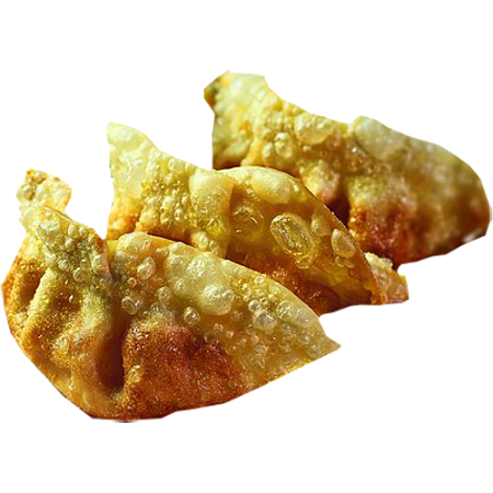 Gyoza Vega