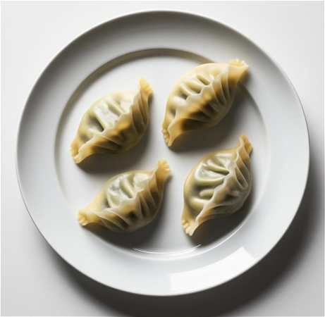 Vegetarische Gyoza