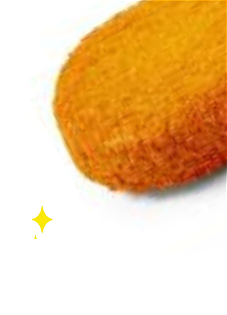 Nasischijf
