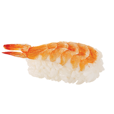 Ebi Nigiri