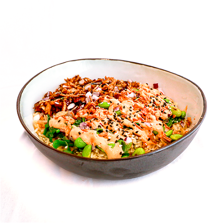 Kip teriyaki met rijst