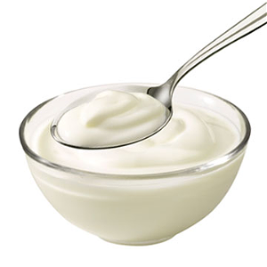 Bakje Yoghurt