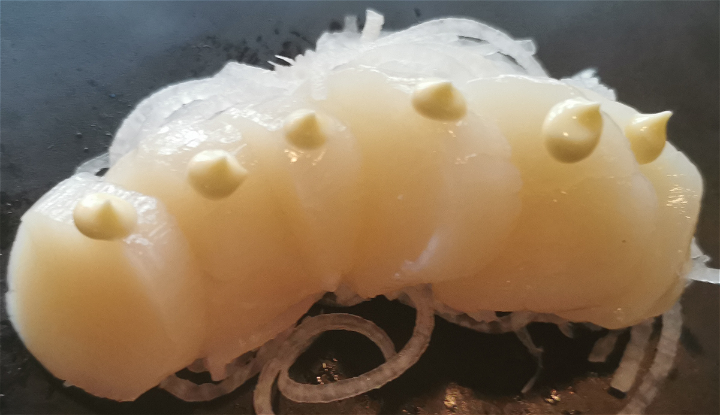 Hotategai sashimi