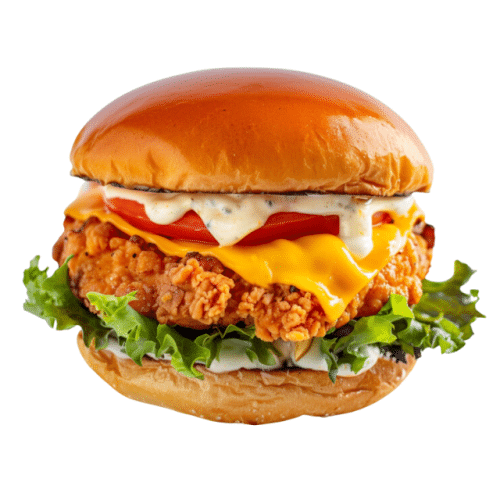 Chicken thigh burger, halal