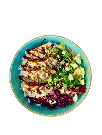 Chicken Gyoza bowl