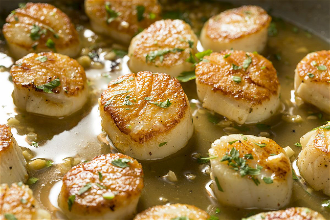 Coquilles 