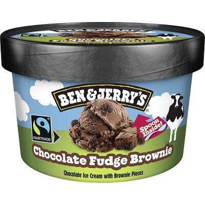 Ben & Jerry's Chocolate Fudge Brownie 