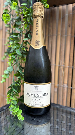 Fles Jaume Serra Cava Brut