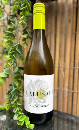 Caluscari Pinot Grigio