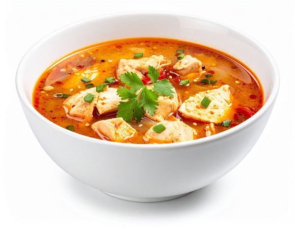 Hot & Sour Soup (Chicken)