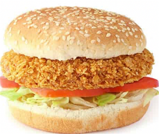 Halal kipburger 