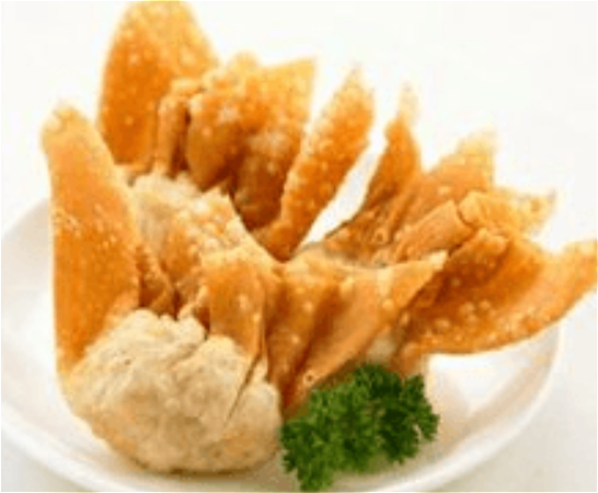 NR15 Pangsit goreng