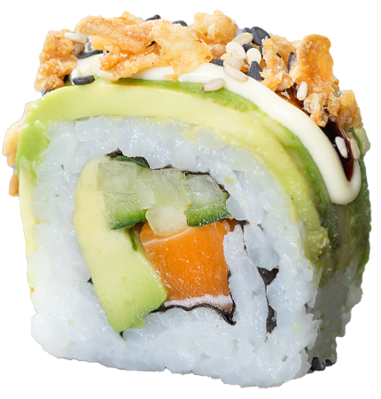 Vega Salmon Dragon Roll