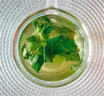 Fresh and organic Mint tea  |  Munt thee