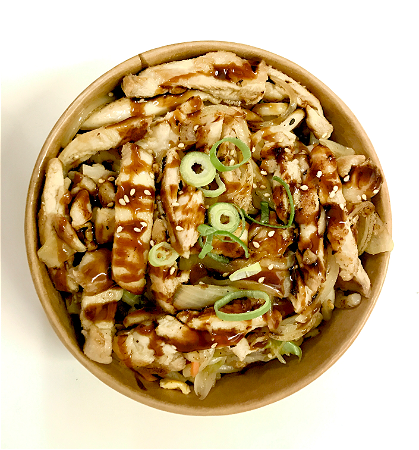 Chicken udon noedels ( nieuw )