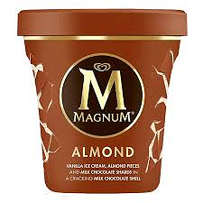 Magnum Almond