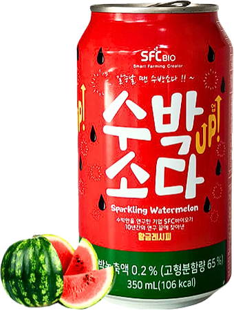 Sparkling Watermelon Soda 350ml
