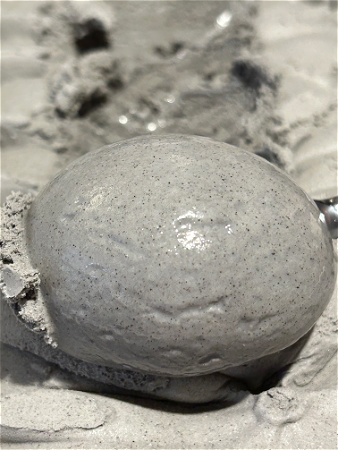 Black Sesame