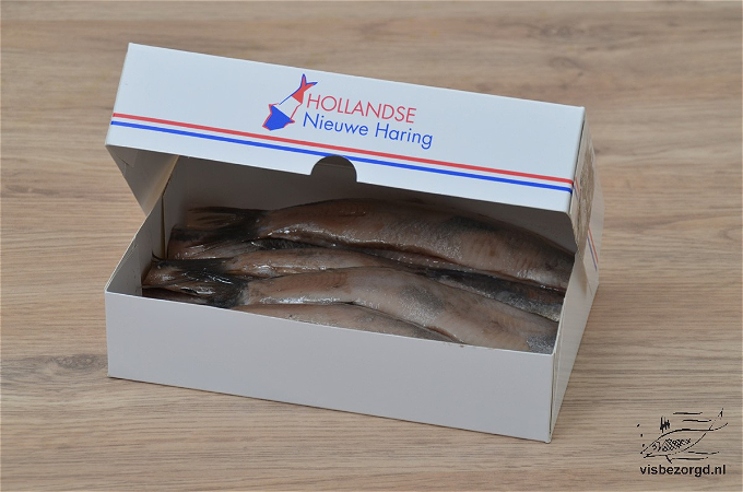 Hollandse nieuwe haring op schaal 