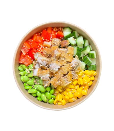 Pokebowl Torikatsu