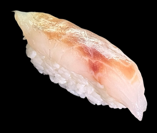 Nigiri Suzuki🍣