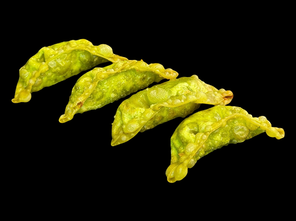 Gyoza veggie 🌱