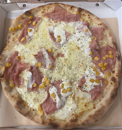 Mimosa NIEUW!!!
