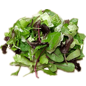 Salade Naturel