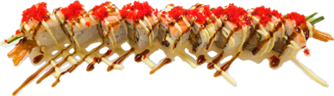 Double Dragon Roll (9 st.)