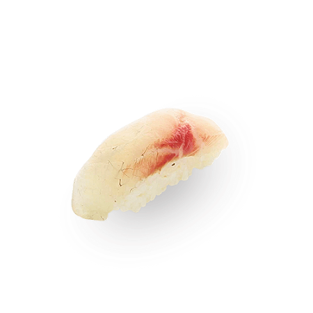 Sea bass nigiri