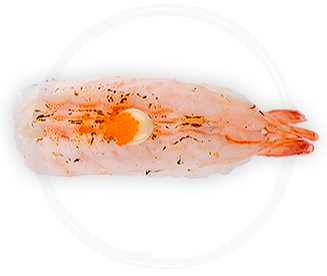 Flamed Ebi Nigiri