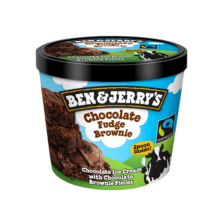 Ben & Jerry's Chocolate Fudge Brownie 100 ml