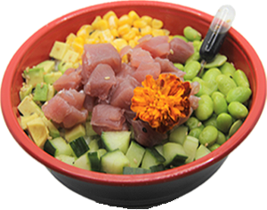 Tunatastic Poke bowl