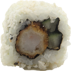 Vega Ebi Roll