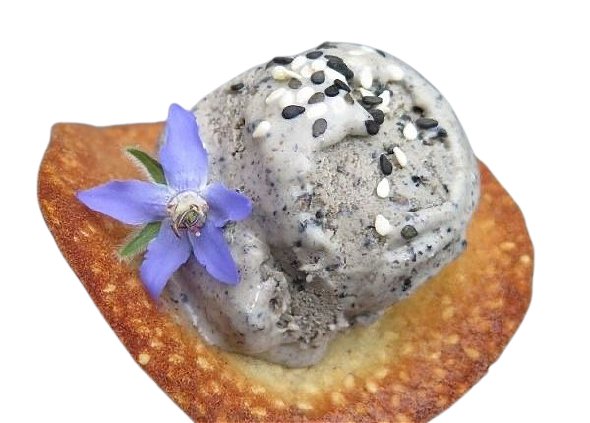 Ice Cream Sesame & Mochi